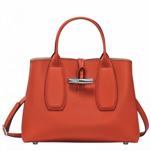 Longchamp Le Roseau M Handtas Dames Oranje Uitverkoop | 10058HCL685