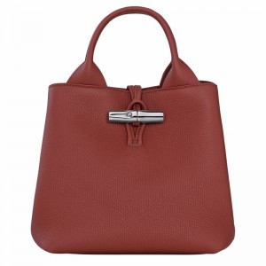 Longchamp Le Roseau S Handtas Dames Bruin Uitverkoop | 10273HFP404