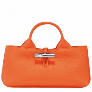 Longchamp Le Roseau S Handtas Dames Oranje Uitverkoop | 10280HFP017