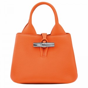 Longchamp Le Roseau XS Handtas Dames Oranje Uitverkoop | 10278HFP017