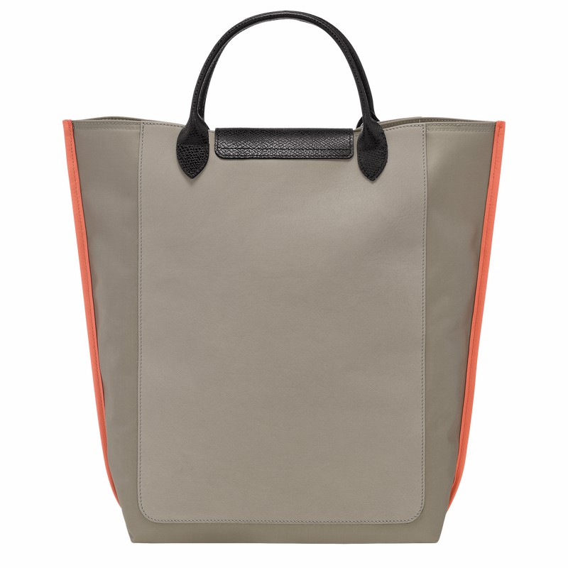 Longchamp Cabas Longchamp M Tote Tassen Dames Grijs Uitverkoop | 10264093266