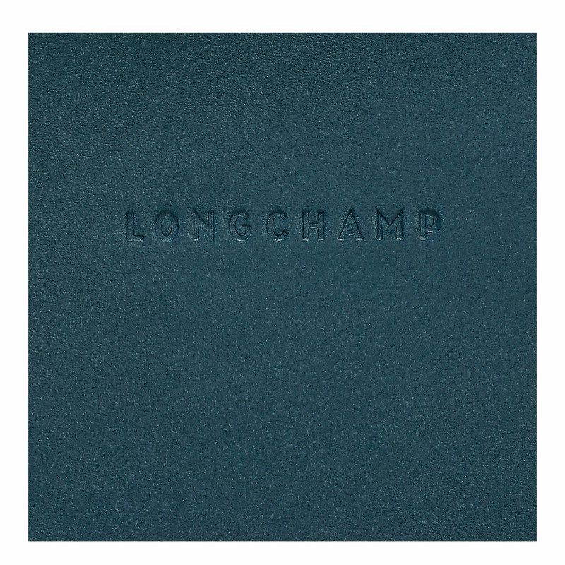 Longchamp Le FOULONNÉ Hoesje Dames Blauw Uitverkoop | 34200HFI806