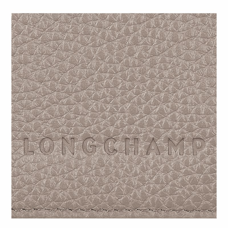 Longchamp Le FOULONNÉ Paspoorthouder Dames Grijs Uitverkoop | L3416021P55