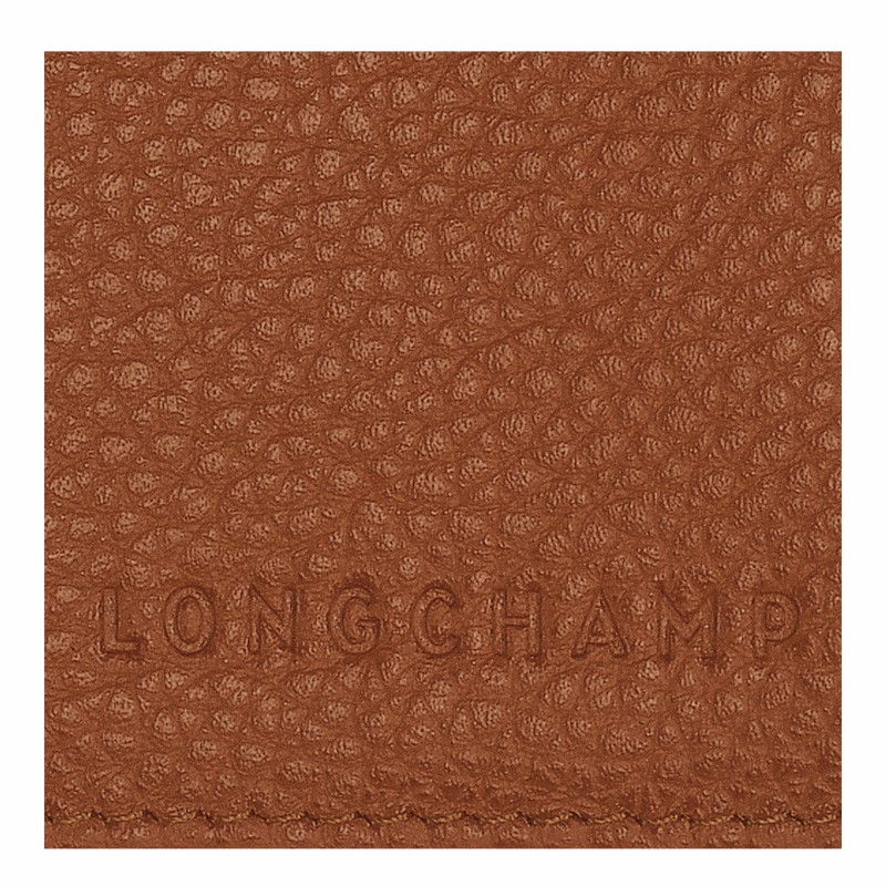 Longchamp Le FOULONNÉ Paspoorthouder Heren Caramel Uitverkoop | L3416021121-