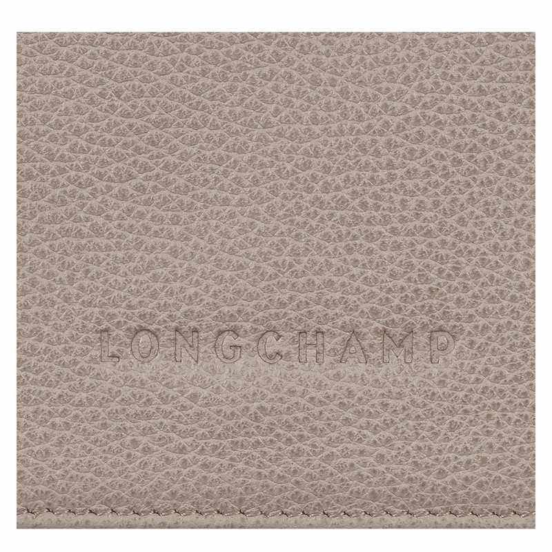 Longchamp Le FOULONNÉ Portefeuille Dames Grijs Uitverkoop | 30021021P55