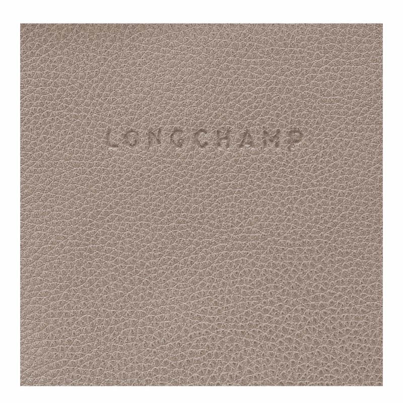 Longchamp Le FOULONNÉ Rugzakken Dames Grijs Uitverkoop | 10195021P55