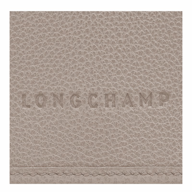 Longchamp Le FOULONNÉ XS Clutch Dames Grijs Uitverkoop | 10133021P55