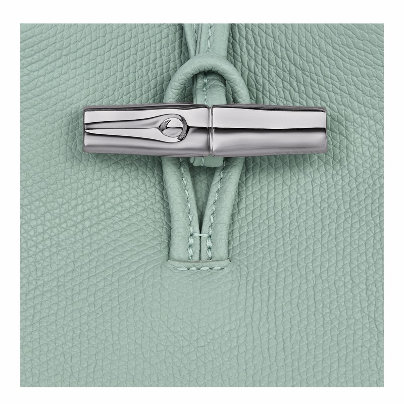 Longchamp Le Roseau Hoesje Dames Celadon Uitverkoop | 34180HFP282