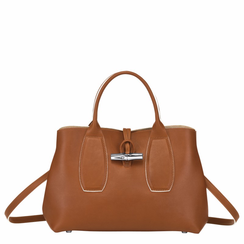 Longchamp Le Roseau M Handtas Dames Bruin Uitverkoop | 10058HQS504