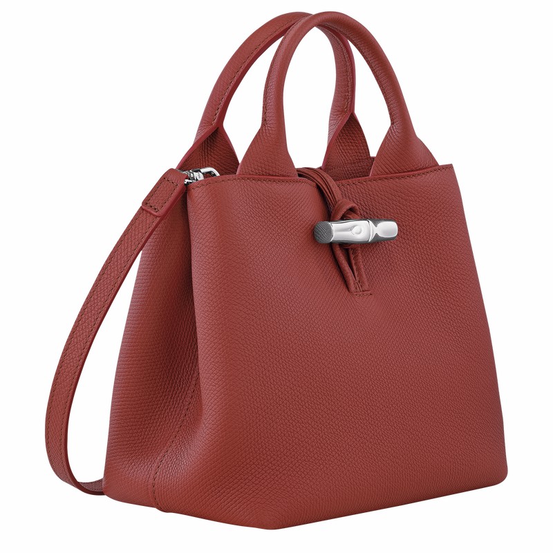 Longchamp Le Roseau S Handtas Dames Bruin Uitverkoop | 10273HFP404