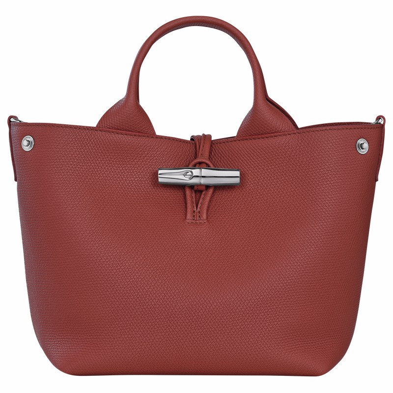 Longchamp Le Roseau S Handtas Dames Bruin Uitverkoop | 10273HFP404