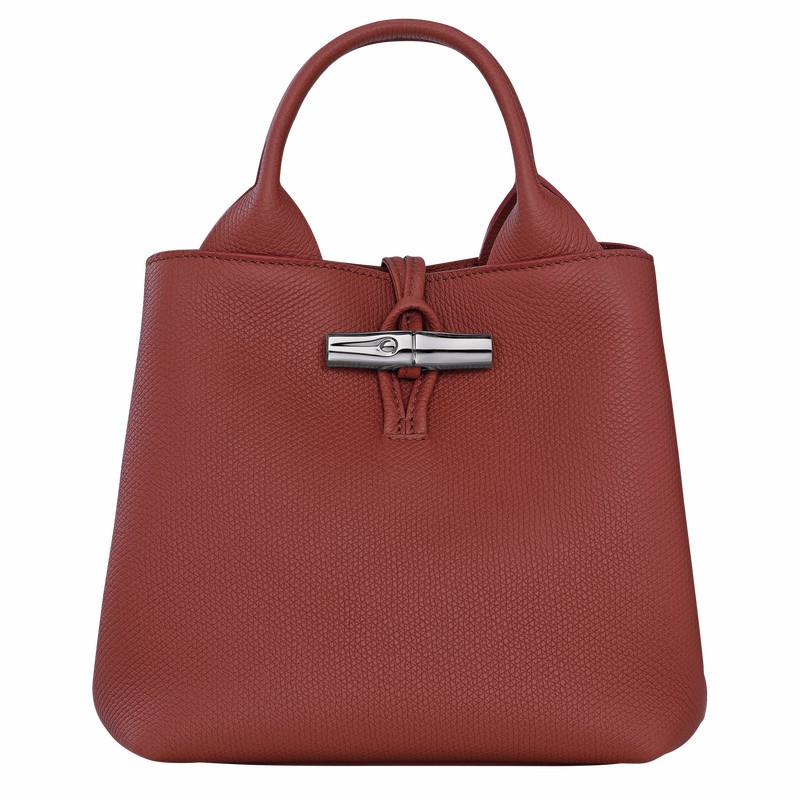 Longchamp Le Roseau S Handtas Dames Bruin Uitverkoop | 10273HFP404