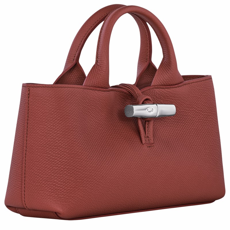 Longchamp Le Roseau S Handtas Dames Bruin Uitverkoop | 10280HFP404