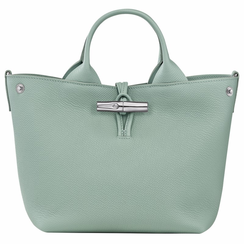 Longchamp Le Roseau S Handtas Dames Celadon Uitverkoop | 10273HFP282