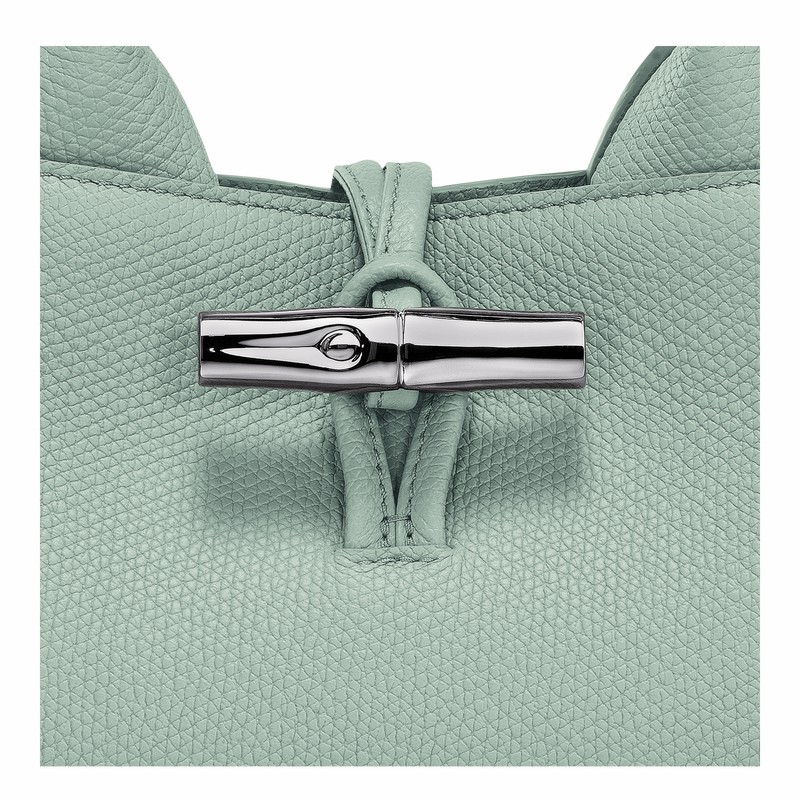 Longchamp Le Roseau S Handtas Dames Celadon Uitverkoop | 10280HFP282