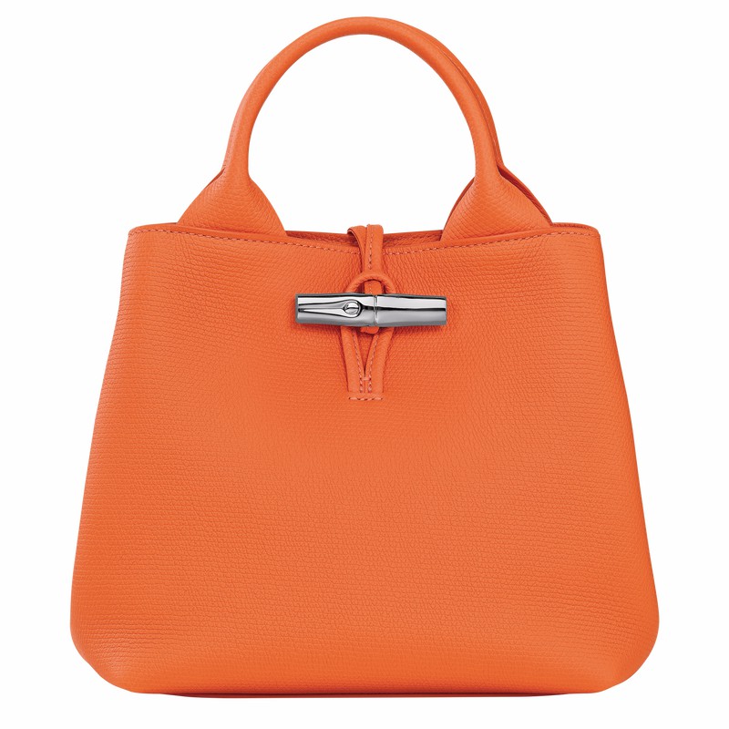 Longchamp Le Roseau S Handtas Dames Oranje Uitverkoop | 10273HFP017