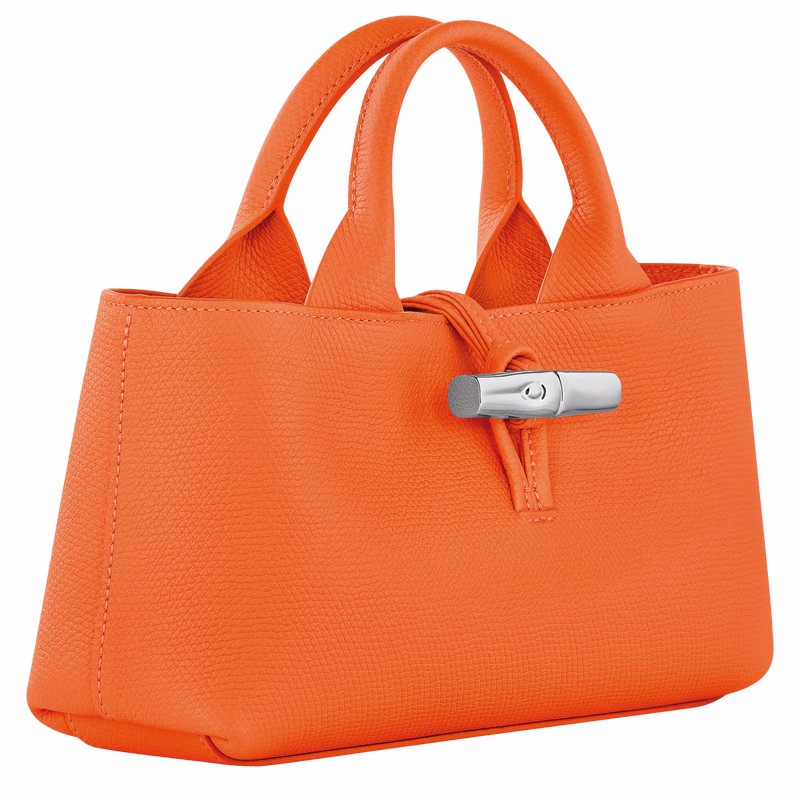 Longchamp Le Roseau S Handtas Dames Oranje Uitverkoop | 10280HFP017