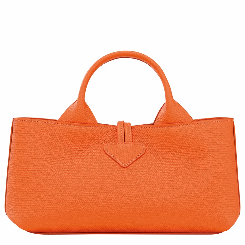 Longchamp Le Roseau S Handtas Dames Oranje Uitverkoop | 10280HFP017