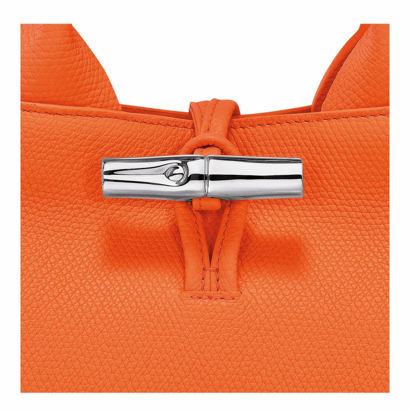 Longchamp Le Roseau S Handtas Dames Oranje Uitverkoop | 10280HFP017