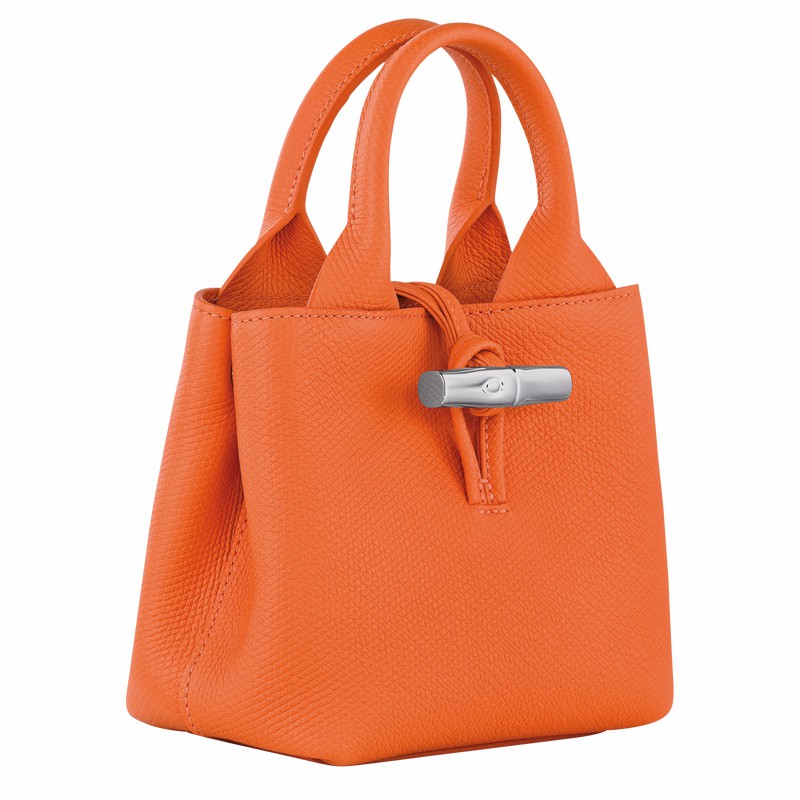 Longchamp Le Roseau XS Handtas Dames Oranje Uitverkoop | 10278HFP017