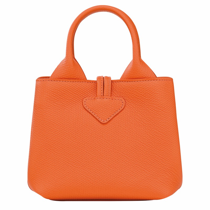 Longchamp Le Roseau XS Handtas Dames Oranje Uitverkoop | 10278HFP017